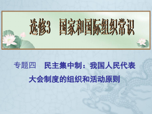 《高考总复习》第一轮总复习(考点精析+易错点拨+随堂检验)配套课件专题四 民主集中制我国人民代表