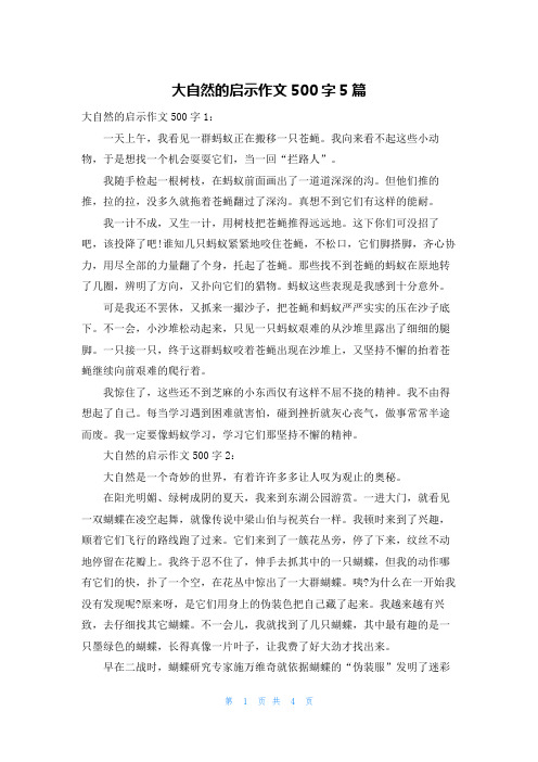 大自然的启示作文500字5篇