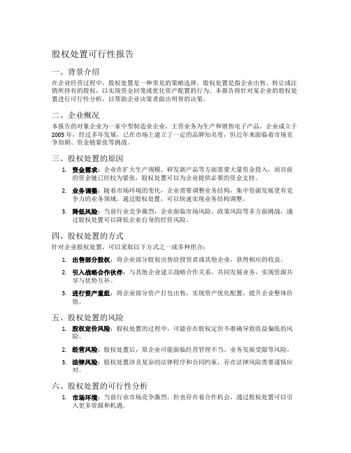 股权处置可行性报告