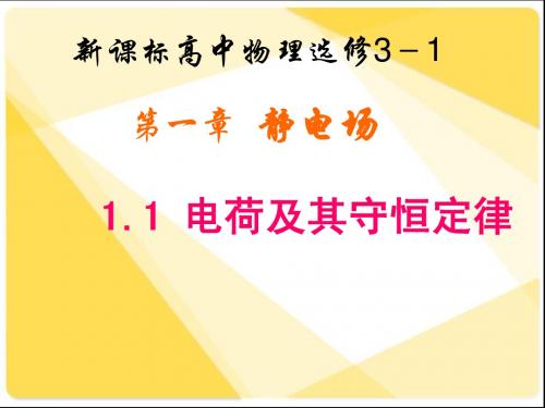 新人教版物理课件：1.1电荷及其守恒定律