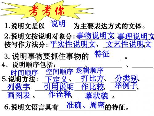 部编人教版语文八年级上册第17课《中国石拱桥》ppt教学课件