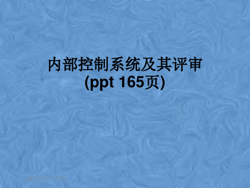 内部控制系统及其评审(ppt 165页)