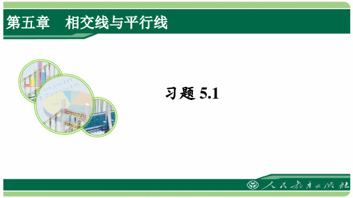 人教版七年级数学下册习题5.1详细答案课件