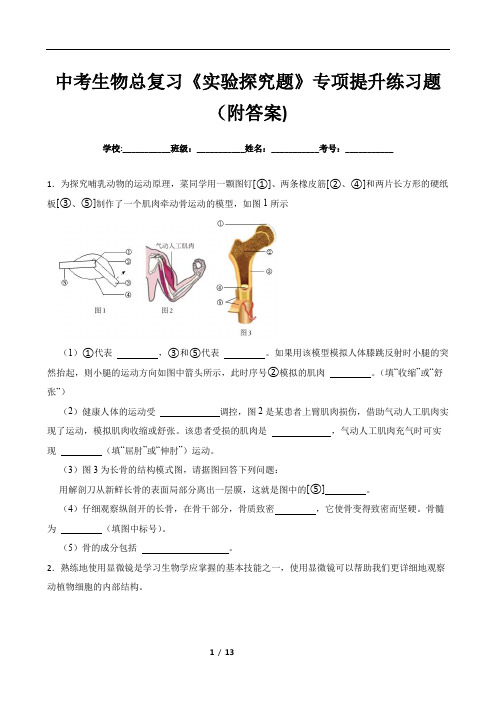 中考生物总复习《实验探究题》专项提升练习题(附答案)