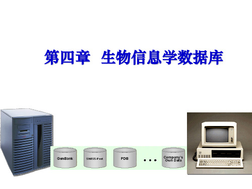 第四章生物信息学数据库(一)主要库及其文件格式