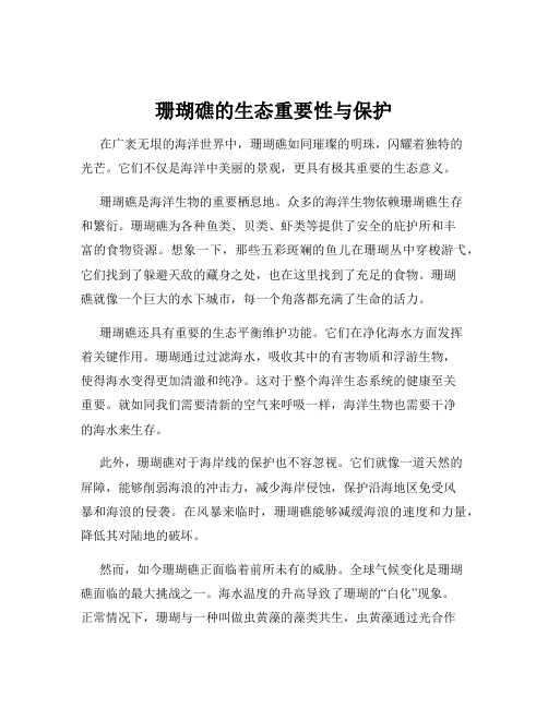 珊瑚礁的生态重要性与保护