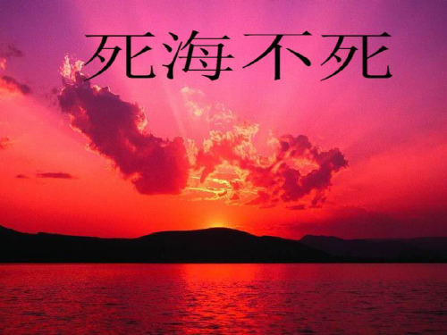 初中语文初二死海不死