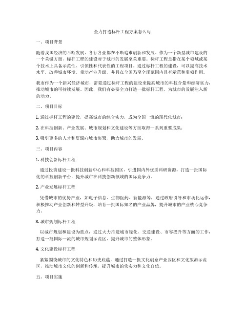 全力打造标杆工程方案怎么写