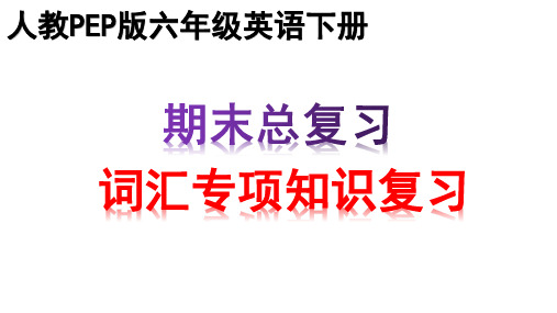 人教PEP版六年级下册英语专项知识点复习课件-期末复习 PPT(共48页)