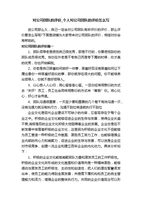 对公司团队的评价_个人对公司团队的评价怎么写