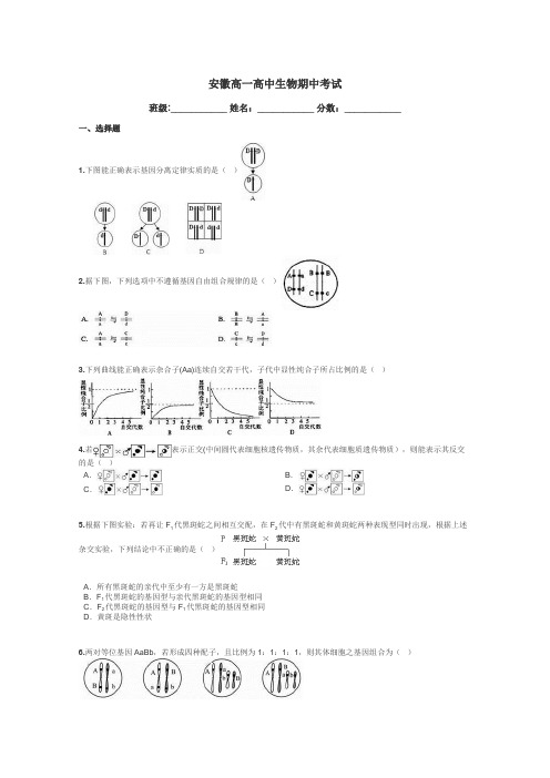 安徽高一高中生物期中考试带答案解析
