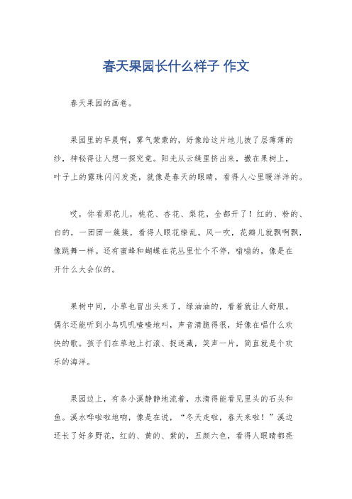 春天果园长什么样子 作文