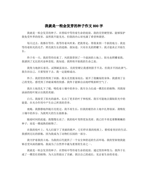 我就是一粒会发芽的种子作文800字