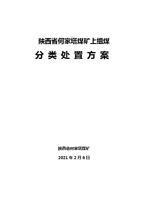 分类处置方案2021.2.6