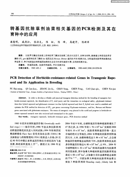 转基因抗除草剂油菜相关基因的PCR检测及其在育种中的应用