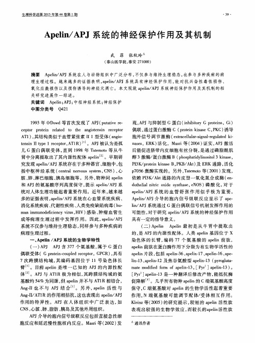 Apelin／APJ系统的神经保护作用及其机制