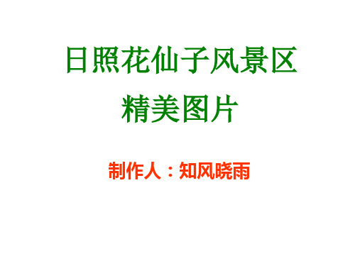 日照花仙子风景区精美图片