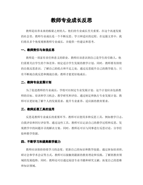 教师专业成长反思