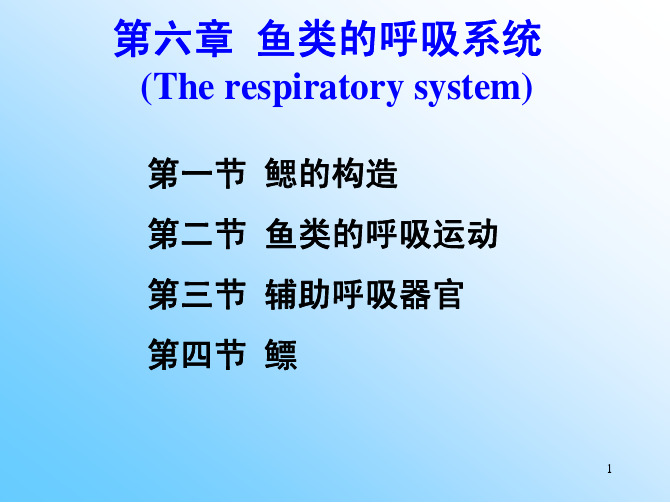 第六章鱼类的呼吸系统