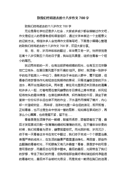 致我们终将逝去的十八岁作文700字