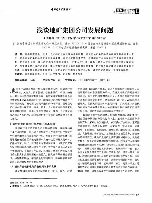 浅谈地矿集团公司发展问题