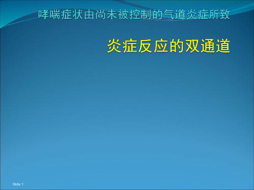 炎症反应的双通道ppt课件