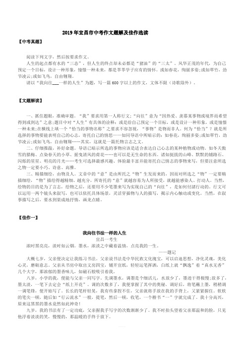 2019年湖北省宜昌市中考作文题解及佳作选读