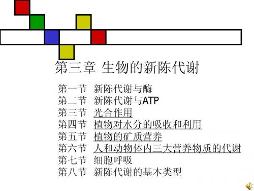 第三章 生物的新陈代谢