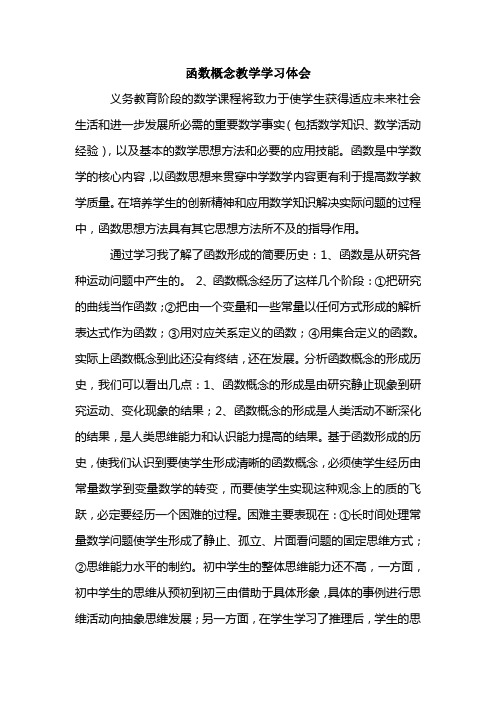 函数概念教学学习体会解读