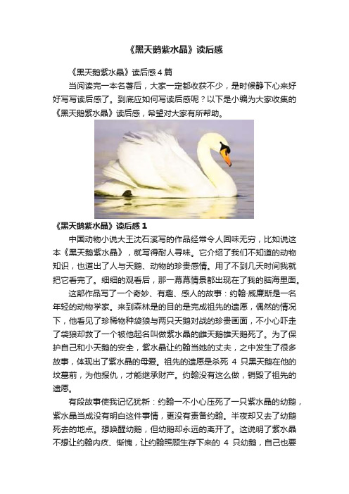 《黑天鹅紫水晶》读后感