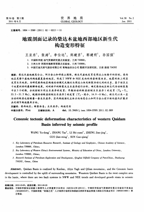 地震剖面记录的柴达木盆地西部地区新生代构造变形特征