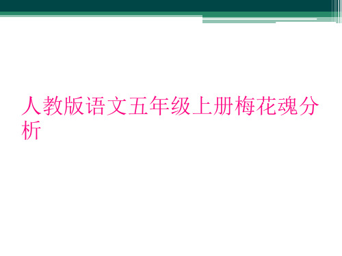 人教版语文五年级上册梅花魂分析