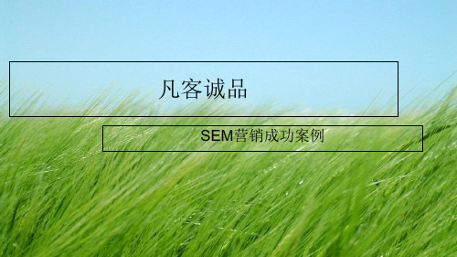 凡客诚品-SEM营销成功案例 (2)幻灯片PPT