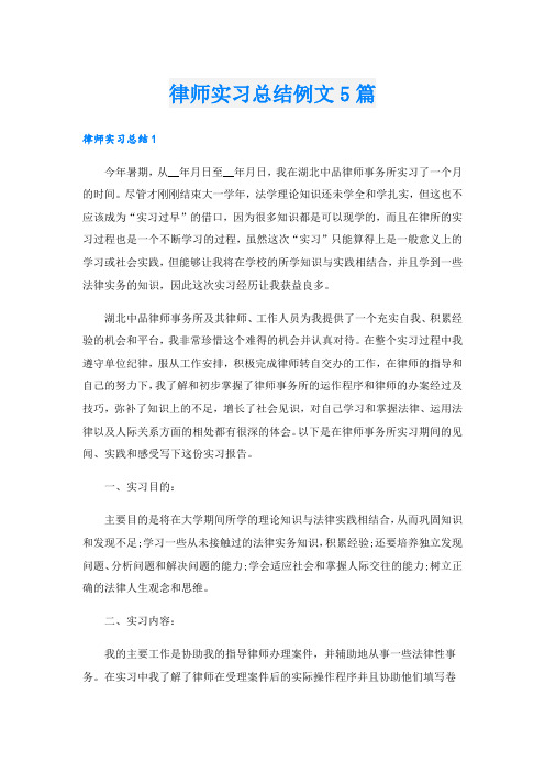 律师实习总结例文5篇