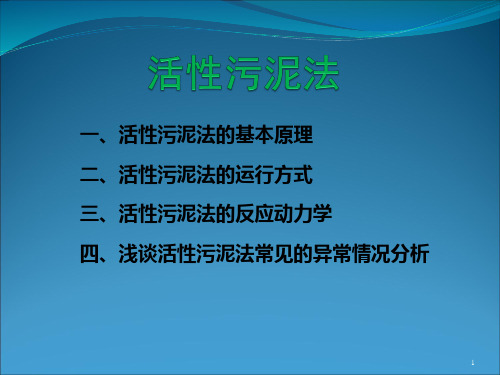 活性污泥法PPT参考课件