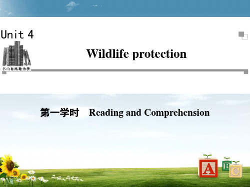 新人教版高中英语必修二人教必修2_Unit_4_Wildlife_protection第一学时精品ppt课件