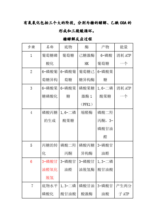 糖酵解反应过程