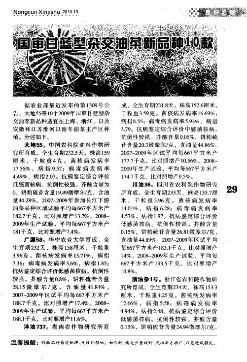 国审甘蓝型杂交油菜新品种10款