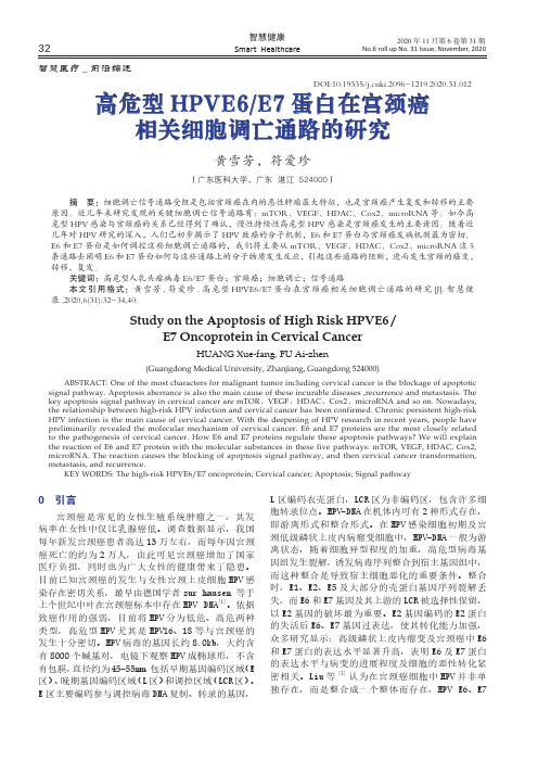 高危型HPVE6E7蛋白在宫颈癌相关细胞调亡通路的研究