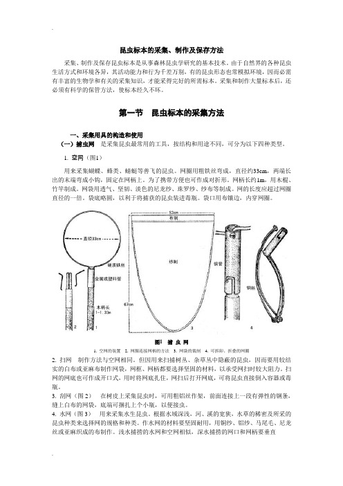 昆虫标本的采集、制作及保存方法