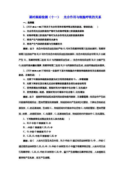 2019版高考生物新三维(通用版)一轮课时跟踪检测(十一) 光合作用与细胞呼吸的关系 Word版含解析
