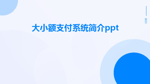 大小额支付系统简介ppt