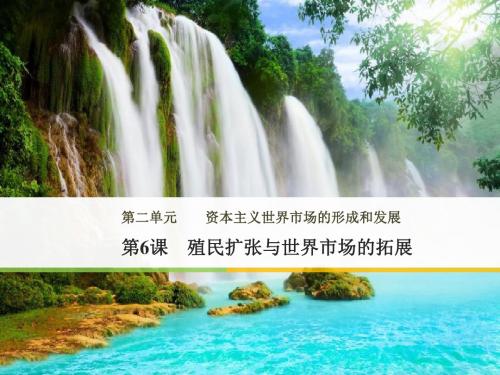 高中历史人教版必修2课件:第二单元 资本主义世界市场的形成和发展 第6课