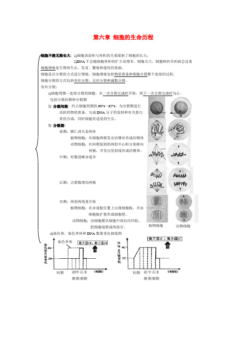 高中生物 第6章 细胞的生命历程(学案)人教版必修1