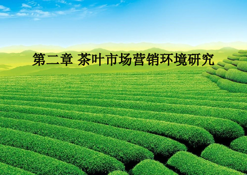 茶营销第二章 茶叶市场营销环境研究