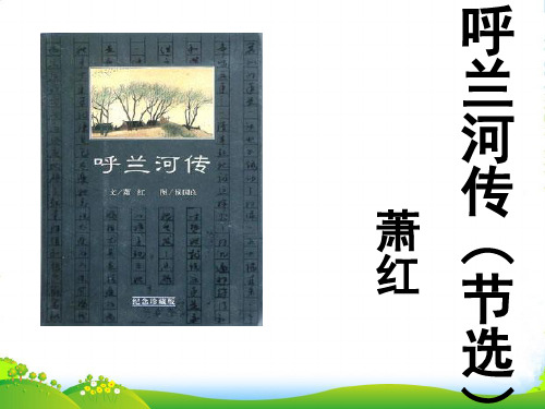 高中语文《呼兰河传》课件 北京选修2