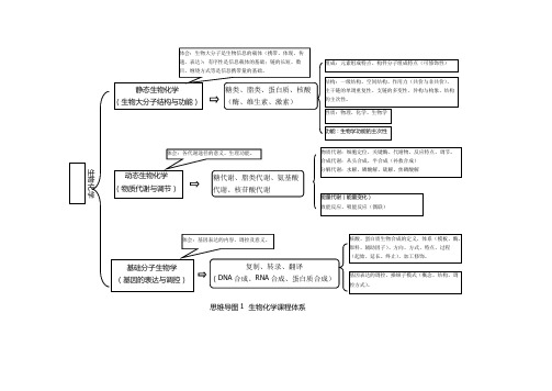 生物化学思维导图