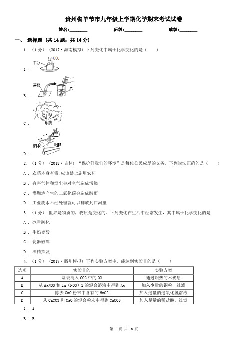 贵州省毕节市九年级上学期化学期末考试试卷