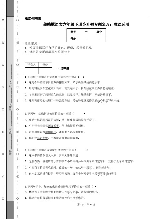 部编版语文六年级下册小升初专题复习：成语运用