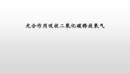 第五章第一节 光合作用吸收二氧化碳释放氧气-七年级上册生物课件(人教版)